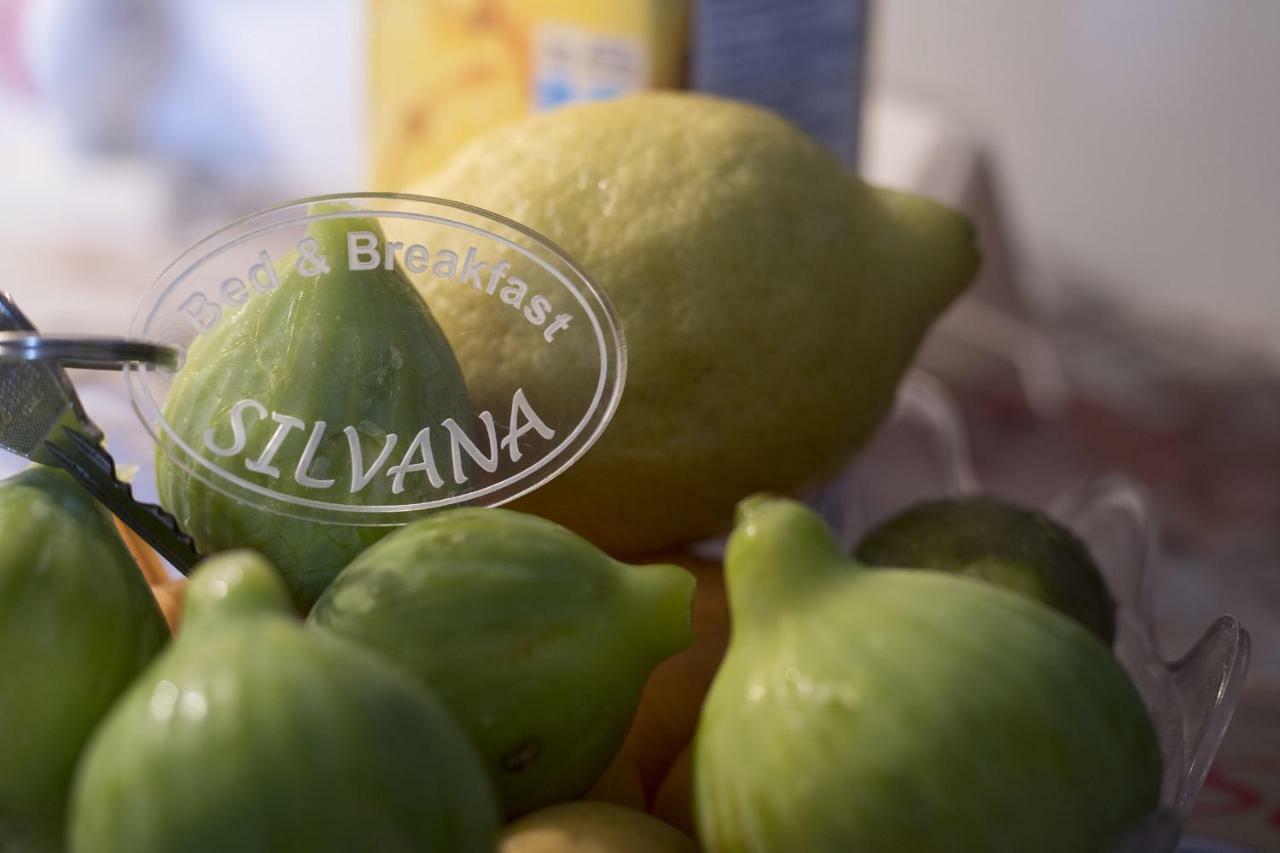 B&B Silvana Салерно Екстериор снимка